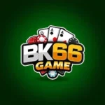 bk66-game