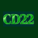cd22-game