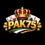 pak75-game